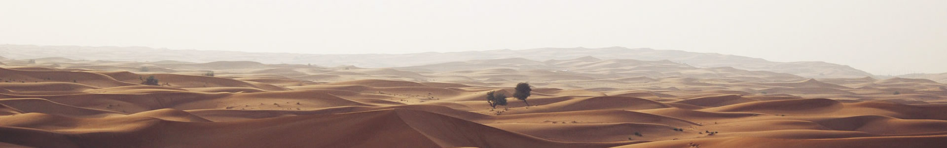 ˹ؿƼ޹˾